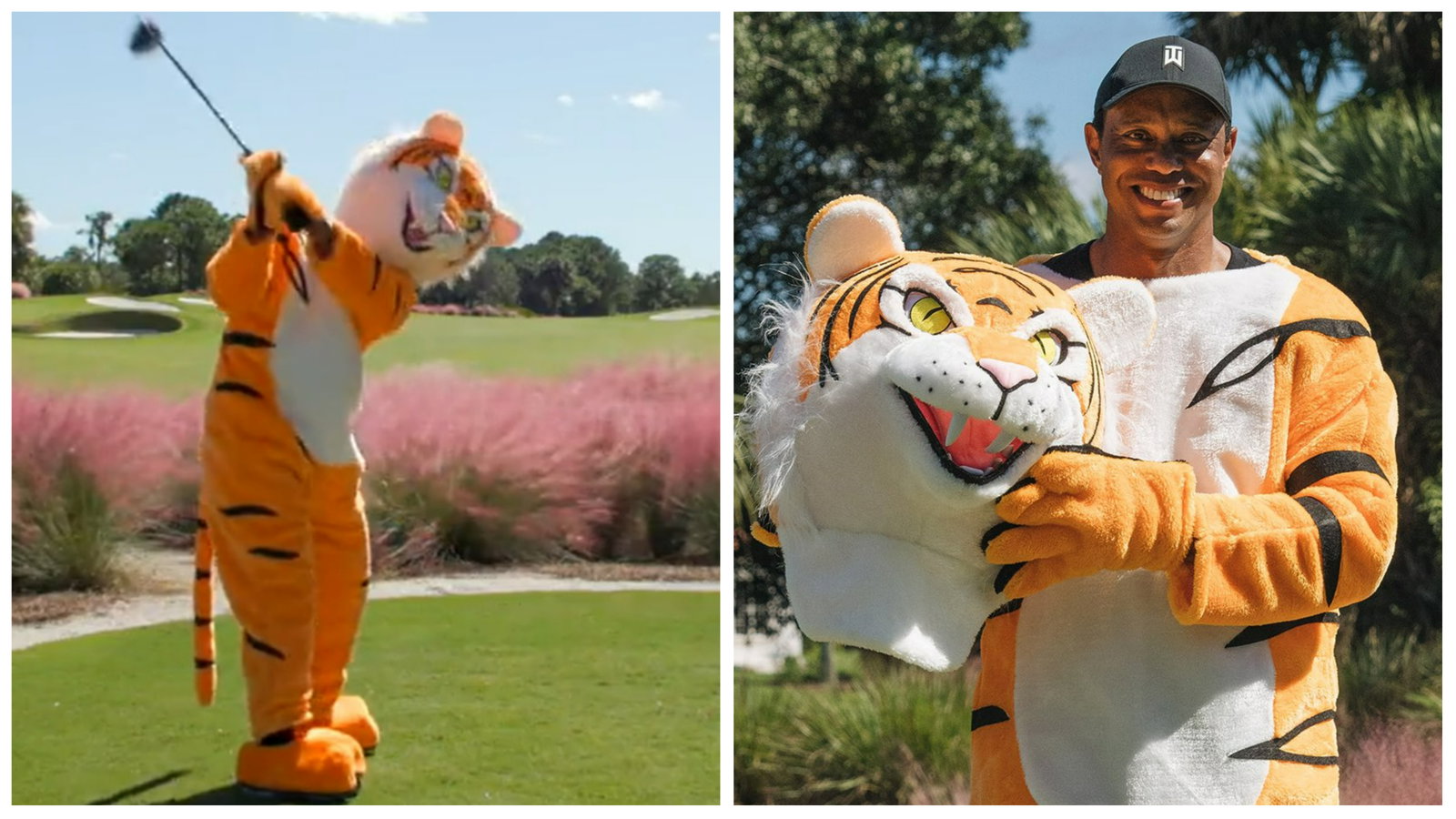 Everyone is saying the same thing after watching latest Tiger Woods clip